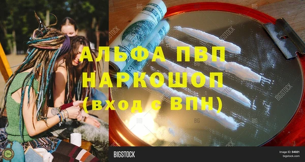 спайс Алзамай