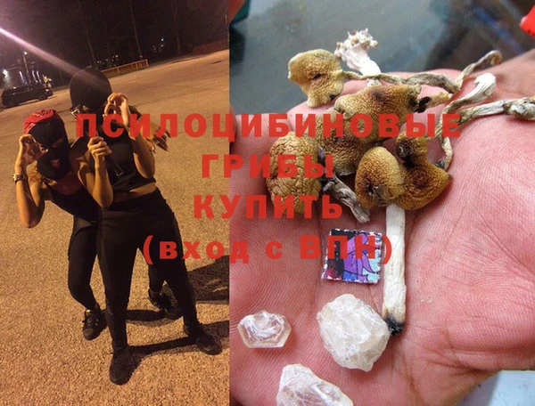 МДПВ Алексеевка