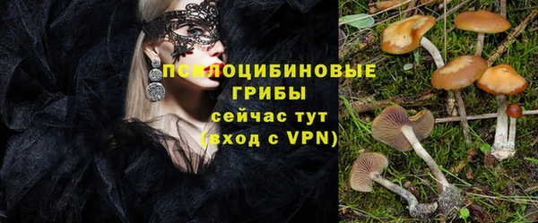 кокс Касимов