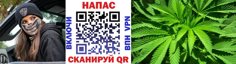 Шишки марихуана тримм Козловка